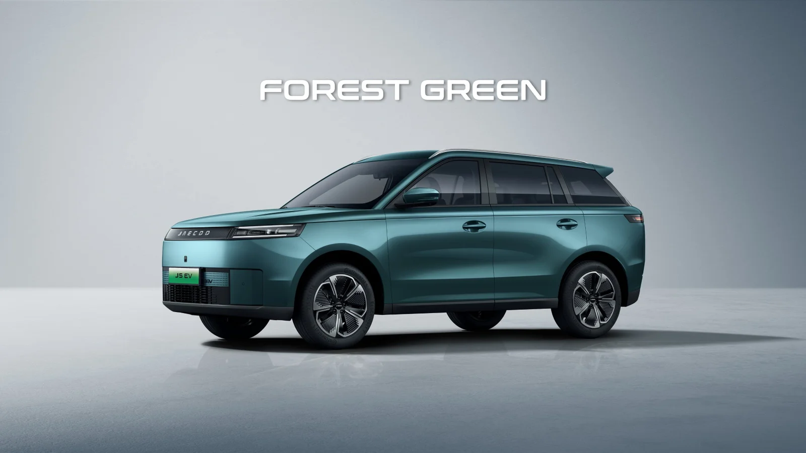 FOREST GREEN