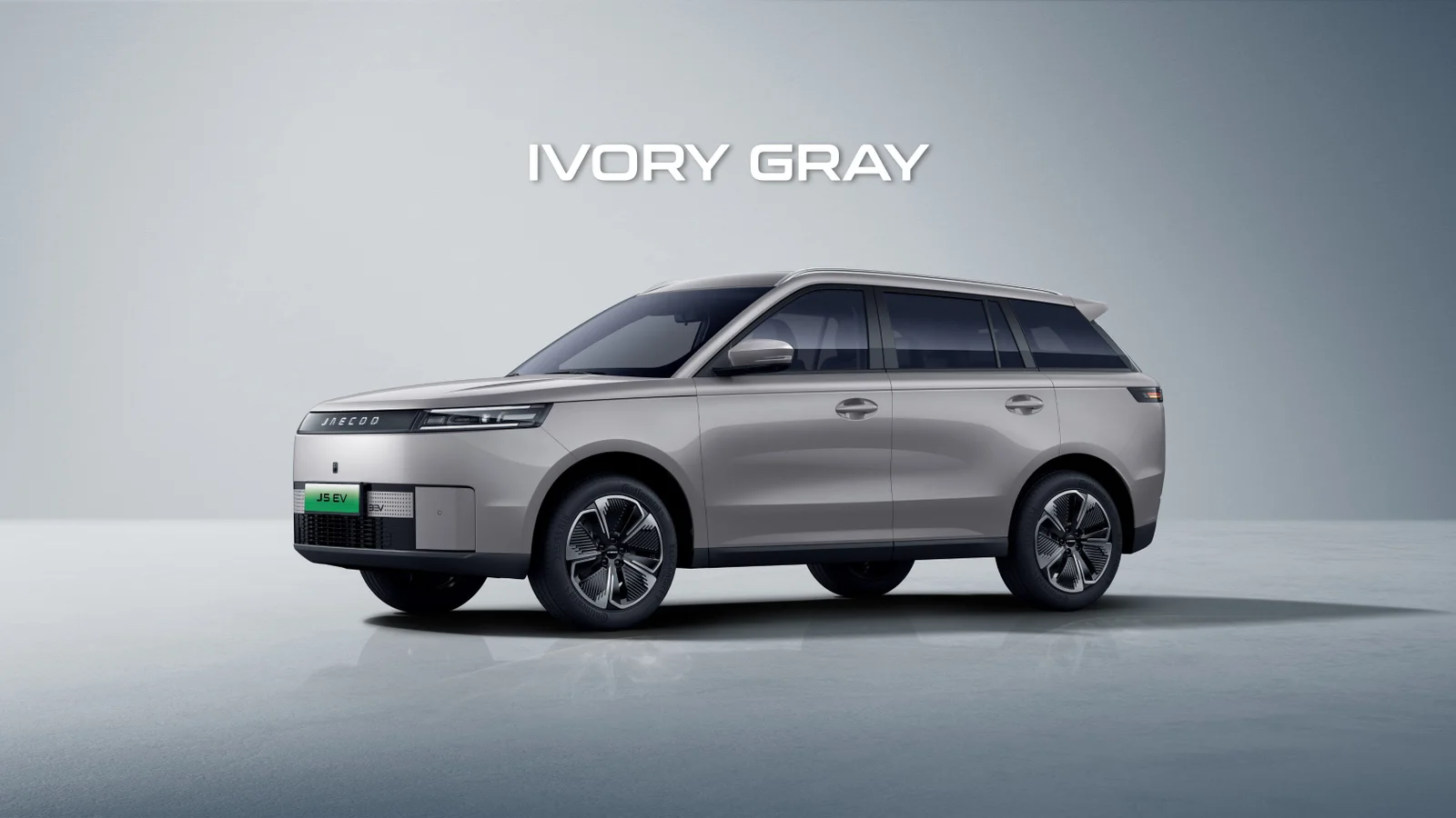 IVORY GRAY